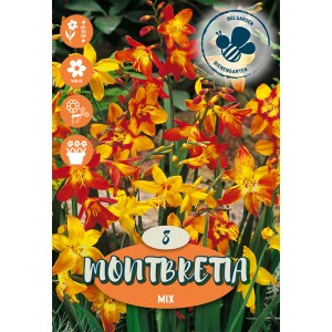 Mix Montbretia: Bulbi da fiore estivi con fiori gialli e rossi.