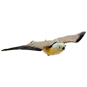 Raptor volante per dissuasori per altri uccelli, vista dettagliata.