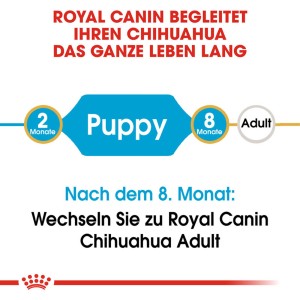 Royal Canin Chihuahua Puppy: Grafica sul passaggio dall'alimento per cuccioli a quello per adulti.
