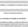 Scheda di sicurezza per carbone da barbecue: Informazioni su etichetta, pericoli e ingredienti.