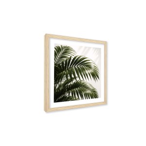 Stampa incorniciata 25x25 cm set piante - palm