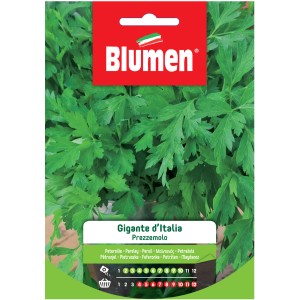 Confezione di semi di prezzemolo 'Gigante d'Italia', ideale per la coltivazione in giardino o sul balcone.