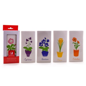 t.b.t. Deumidificatore con motivi floreali, set da 5.