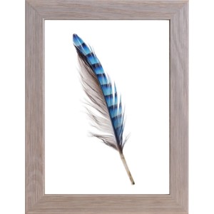 Cornice in legno chiaro con piuma blu-grigia