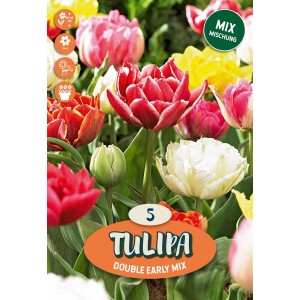 Tulipano Double Early Mixed 10 pz
