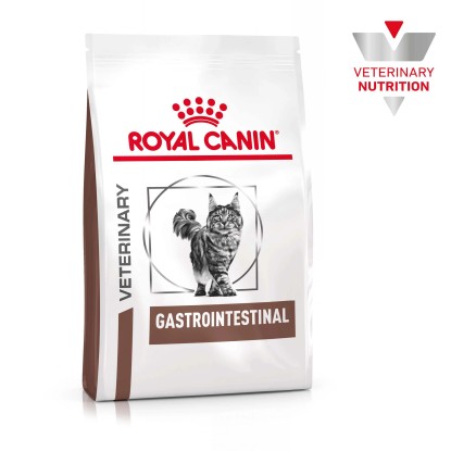 Cibo secco per gatti Royal Canin Gastrointestial 400 g