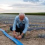 Uomo che installa un sistema di irrigazione con tubi blu in un campo.