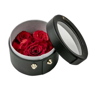 Rosa di Natale in custodia nera con coperchio trasparente.