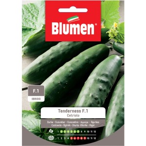 Confezione di semi 'Tenderness F1' per cetrioli, ideale per coltivare ortaggi nel proprio giardino.