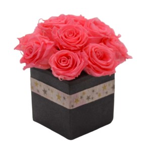 Rose Altre rosa rosa in scatola nera con nastro a stelle.
