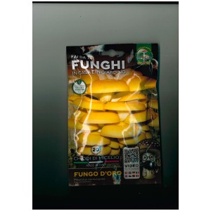 Confezione Funghi "Fungo D'Oro" con funghi gialli e QR code per video tutorial.