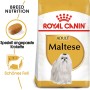 Royal Canin Maltese Adult, alimento secco per Maltese da 10+ mesi, confezione da 1,5kg.