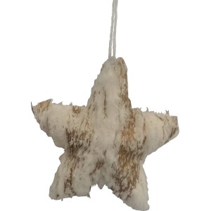 Decorazione natalizia a forma di stella in bianco e oro per decorazioni festive.