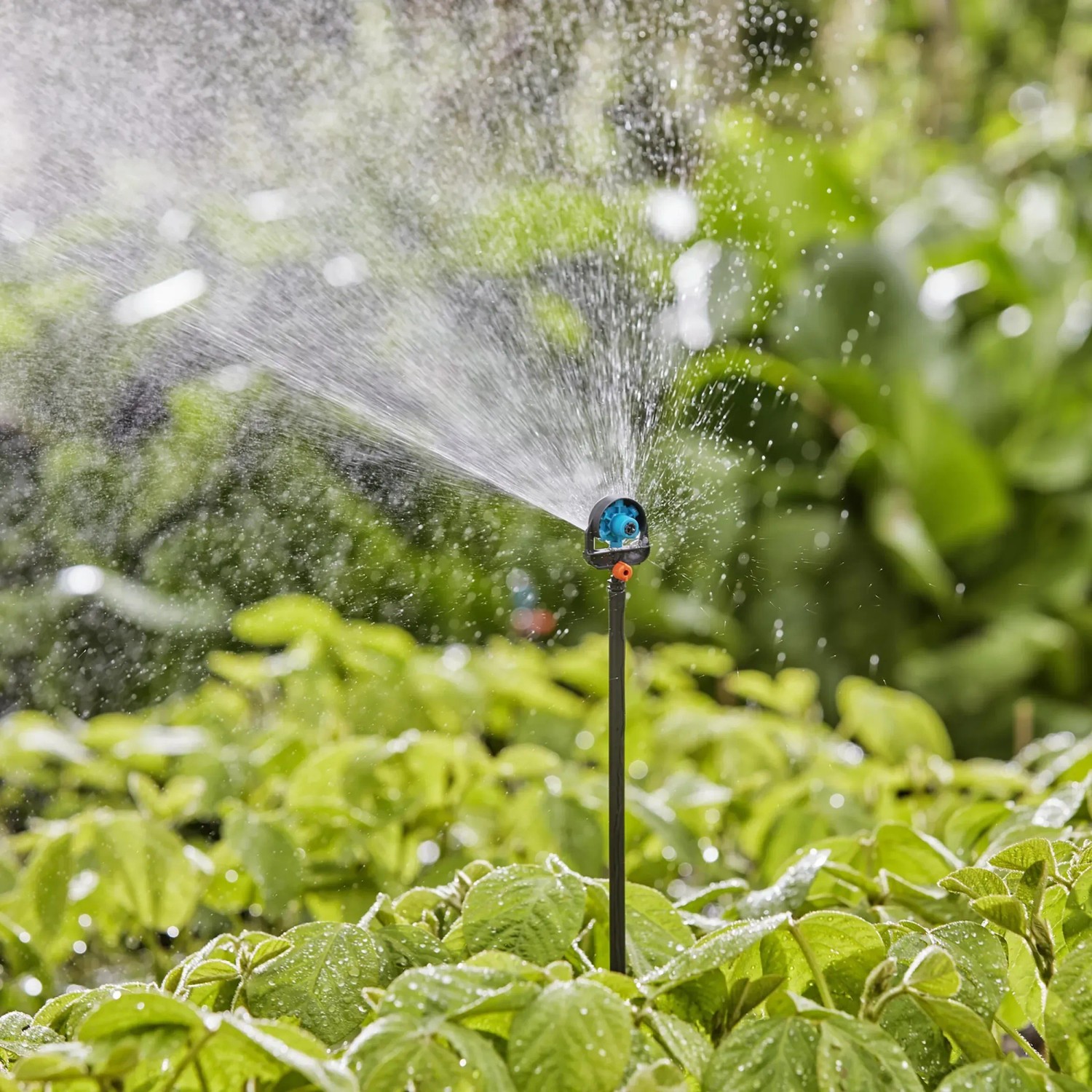 Tubo di prolunga Gardena 20 cm con ugello a spruzzo in uso per l'irrigazione nel sistema Micro-Drip.
