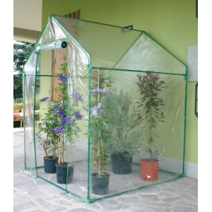 Piccola serra in pellicola con piante in vaso.