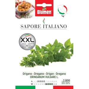 Confezione di semi di origano 'Sapore Italiano' XXL, una varietà di erba aromatica per il giardino.