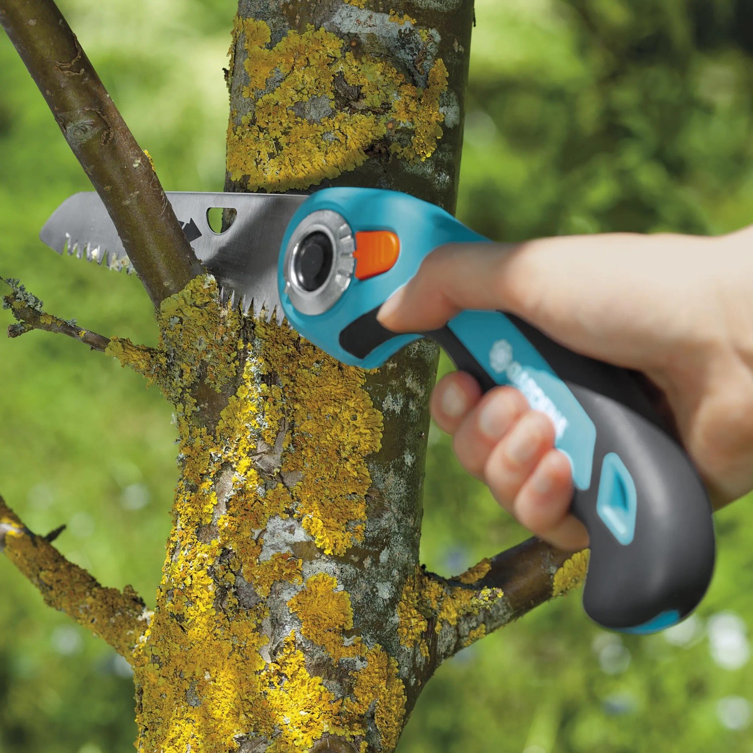 Gardena Sega da giardino pieghevole 135P in uso per tagliare un ramo.