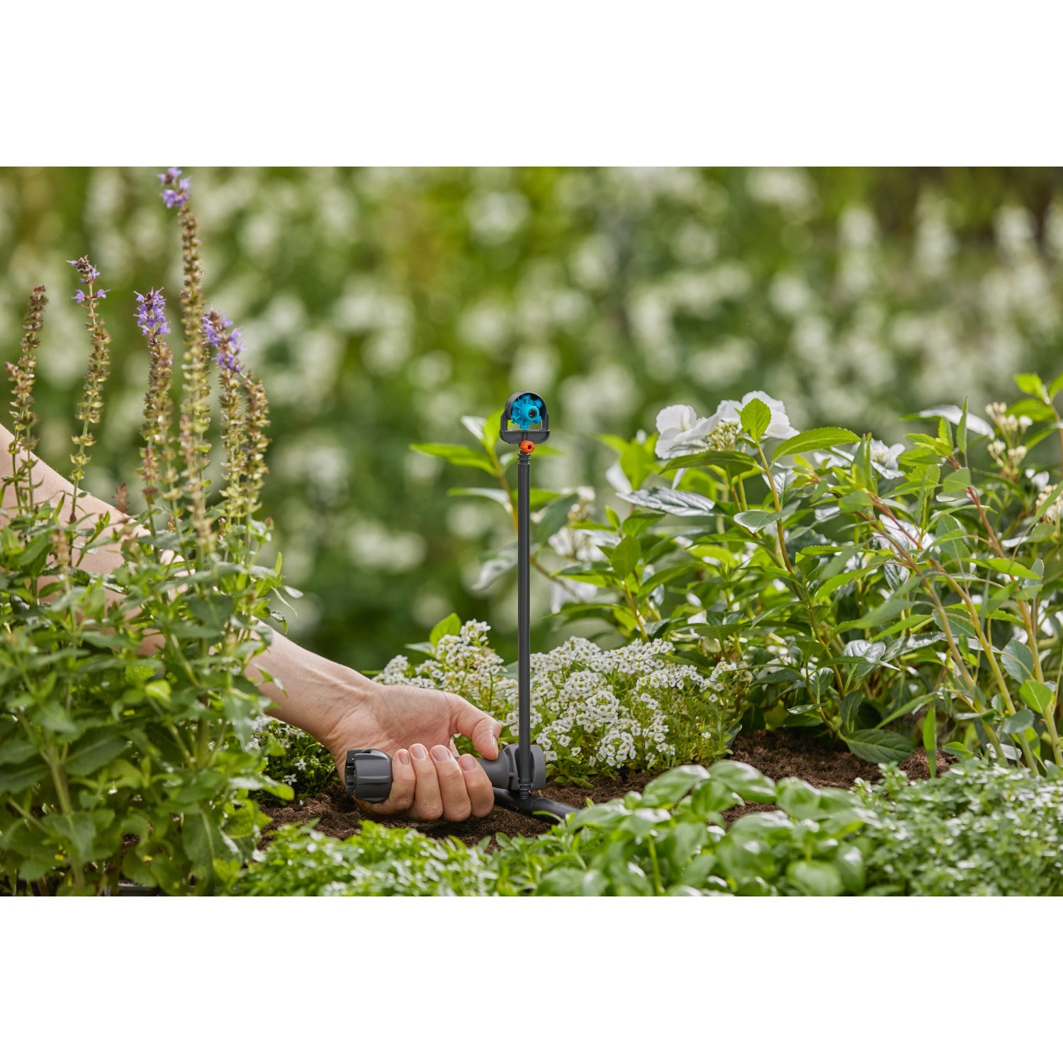 Tubo di prolunga Gardena da 20 cm per ugelli a spruzzo in uso nell'aiuola.