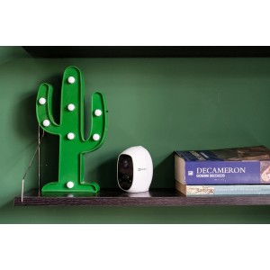 Telecamera di videosorveglianza t.b.t. bianca su mensola, accanto a cactus decorativo.