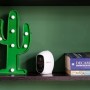 Telecamera di videosorveglianza t.b.t. bianca su mensola, accanto a cactus decorativo.