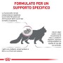 Grafica sulla malattia renale nei gatti e cibo secco specifico.