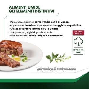Cibo umido per cani Morando adulto mini patè pollo patate piselli 150 g