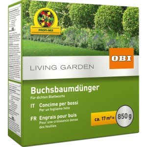 OBI Concime per bossi 850g per fogliame denso e piante robuste.