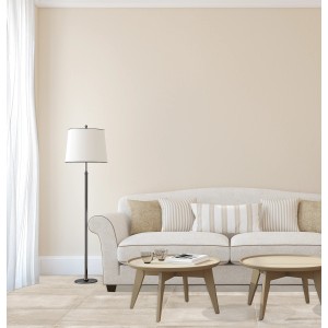 Soggiorno luminoso con piastrelle per pavimenti t.b.t., divano, lampada da terra e tavolini.