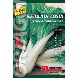 Confezione di semi per bietola 'Bietola da Costa', foglie verdi, coste bianche.