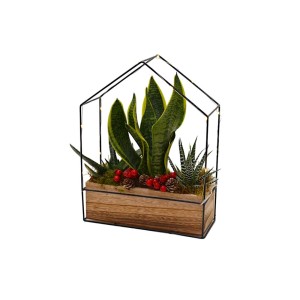 Composizione di piante decorative in design a casetta, con Sansevieria e succulente.