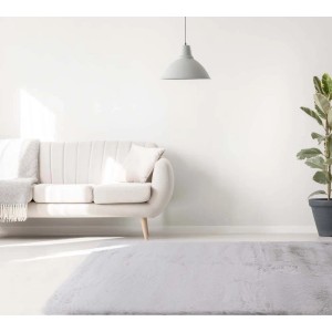 Tappeto a pelo lungo t.b.t. chiaro e rettangolare in soggiorno con divano e pianta.