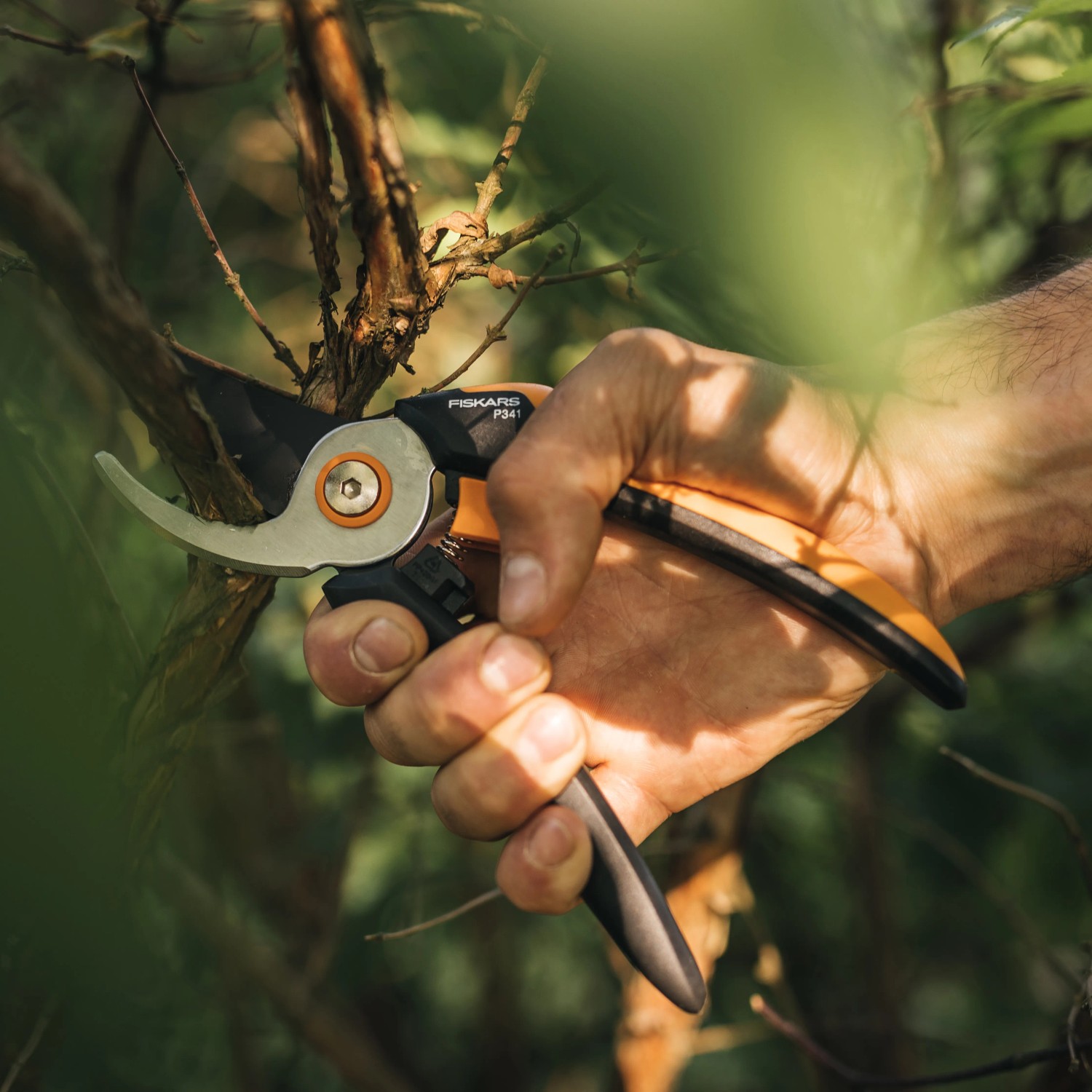 Mano che tiene le cesoie bypass Fiskars Solid P341-L mentre taglia un ramo.