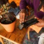 Persona che utilizza la paletta da trapianto Fiskars con spazzola per pulire il terriccio accanto a un vaso. Utensile da giardinaggio.