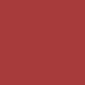 Pittura home color superlavabile igienizzante scarlet 2,5 l