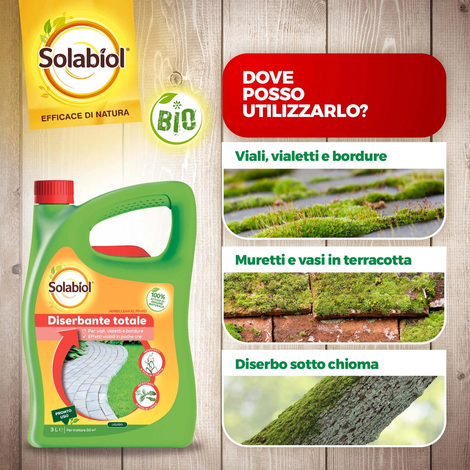 Diserbante Solabiol per vialetti, muri e sotto chioma.
