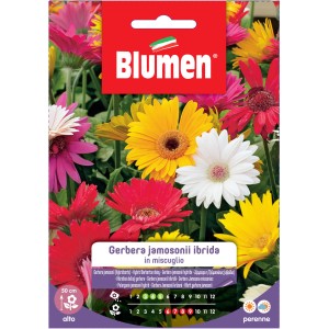 Semi per fiori di gerbera colorati. Ideali per aiuole e balconi.