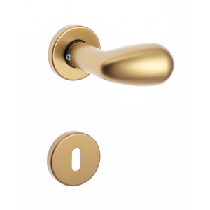 Set maniglia per porta dorata per interni.