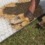 Posa di t.b.t. ciottoli e granulati in una griglia con ghiaia da parte di una persona.