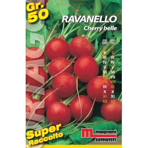 Confezione di semi di ravanelli rossi Cherry Belle, ideale per la coltivazione di ortaggi in giardino.