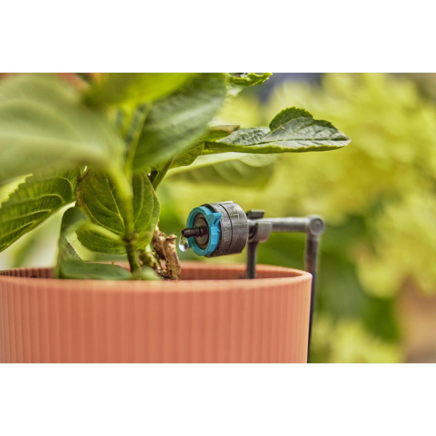 Irrigazione con raccordo per irrigazione t.b.t. in vaso.