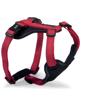 Pettorina neoprene regolabile reflex rossa Taglia 32/42 - 25/36
