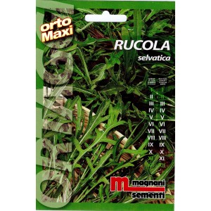 Confezione di semi di rucola selvatica 'selvatica' per la coltivazione nell'orto.