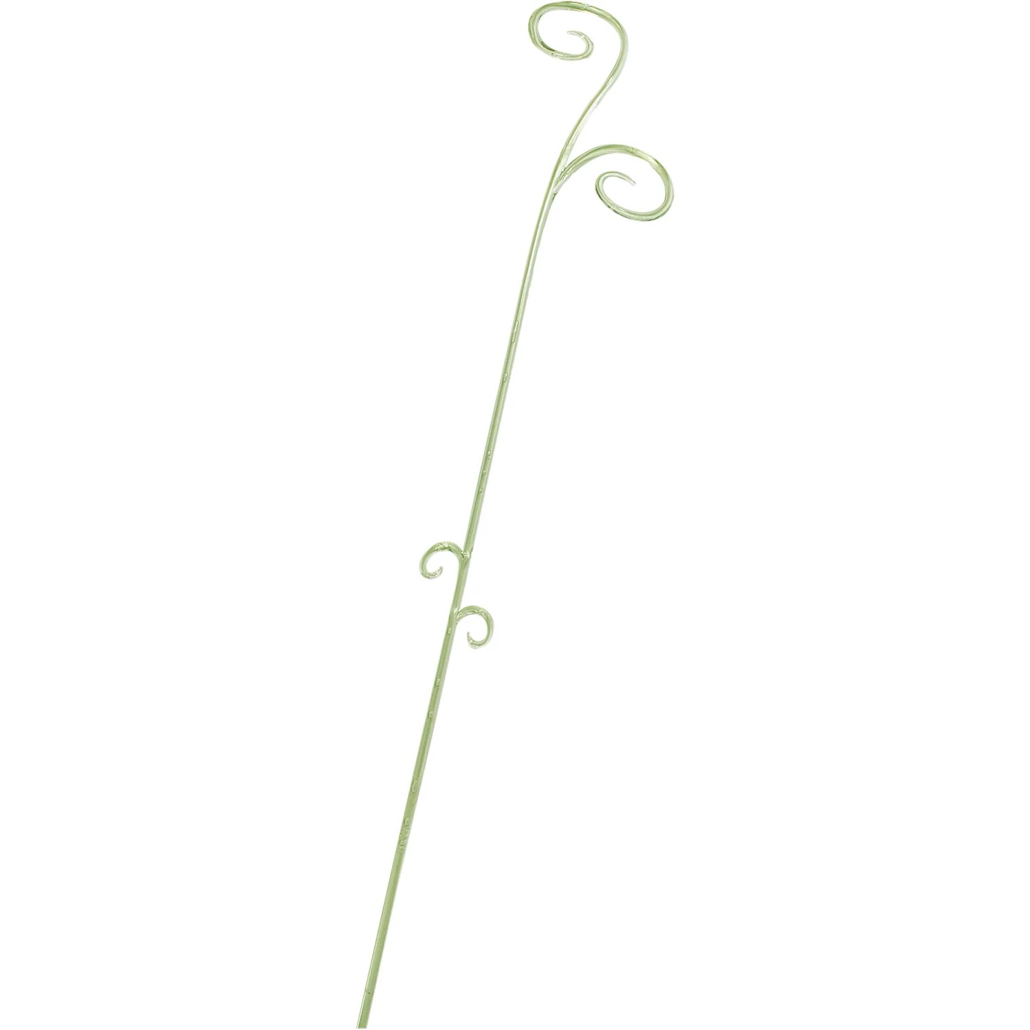 Scheurich bacchetta verde/trasparente per orchidee Ø 4 cm 60 cm_2