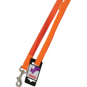 Guinzaglio arancione con moschettone per cani