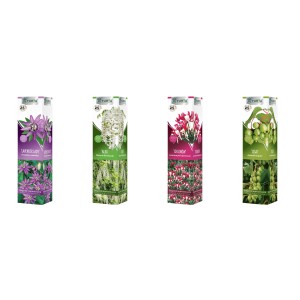 Varietà di t.b.t. Altre piante rampicanti in cartone, tra cui glicine, passiflora e pisello odoroso.