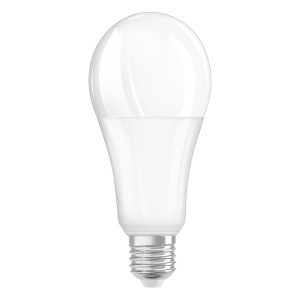 Lampadina LED E27 bianca per interni.