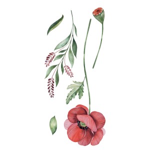 Adesivo da parete con papavero e foglie in stile acquerello.