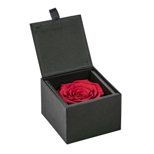 Rosa di Natale in scatola portagioie nera. Elegante rosa rossa come regalo.