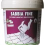 Secchio di sabbia fine di quarzo per pavimentazione. Ideale per la stuccatura di pavimenti in pietra.
