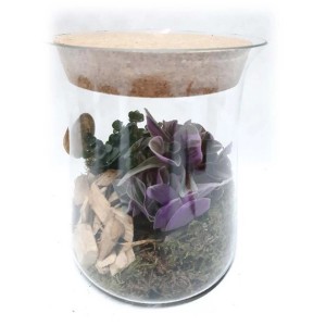 Pianta fiorita in vaso di vetro con coperchio in sughero.